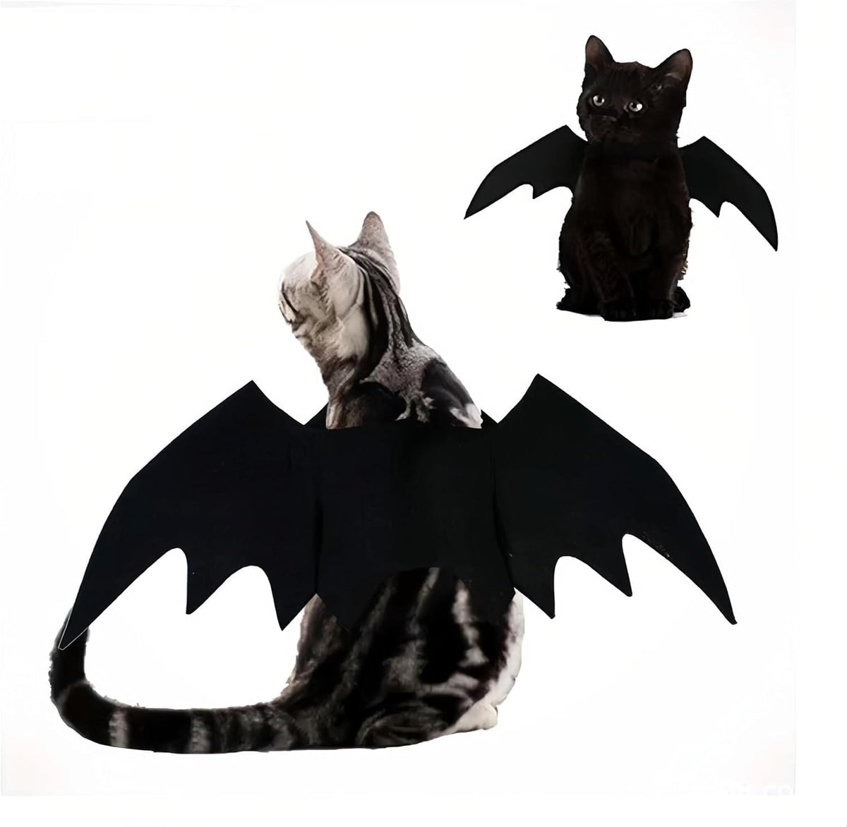 商品图片 2 | B0FVKH2CLW | Pet Bat Wings, Perfect for Cats Puppies Cute Cosplay Costume Accessories Dress-Up Fun for Pets Parties