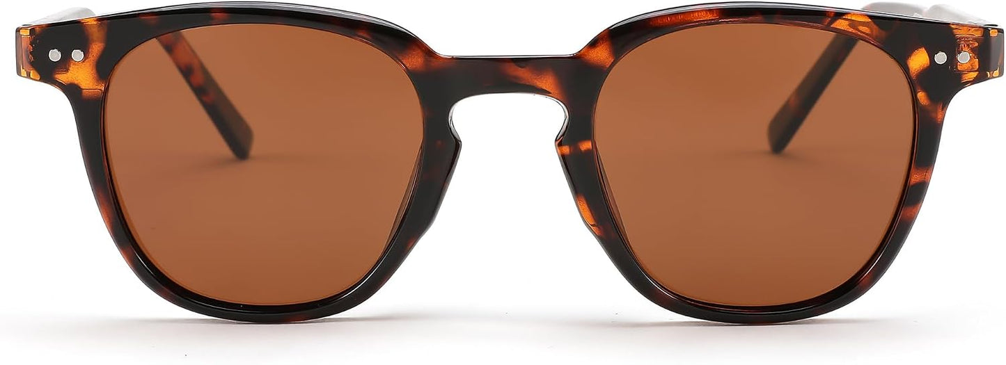 002 Leopard Frame/Brown Lens / 46 Millimeters | B0CCP8DMY2 | FEISEDY Classic Polarized Sunglasses Retro Round Sunglasses for Women Men Trendy Shades B0002