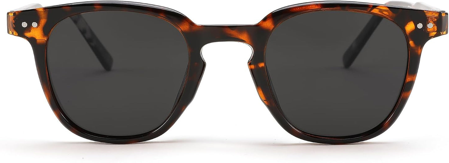 005 Leopard Frame/Gray Lens / 46 Millimeters | B0CCP9HPJY | FEISEDY Classic Polarized Sunglasses Retro Round Sunglasses for Women Men Trendy Shades B0002