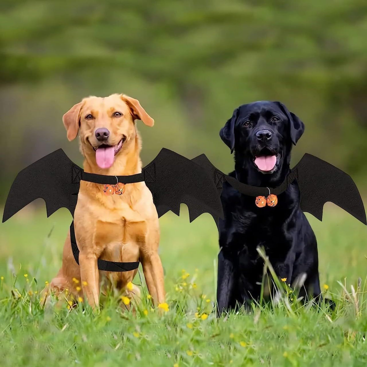 商品图片 6 | B0FVKH2CLW | Pet Bat Wings, Perfect for Cats Puppies Cute Cosplay Costume Accessories Dress-Up Fun for Pets Parties