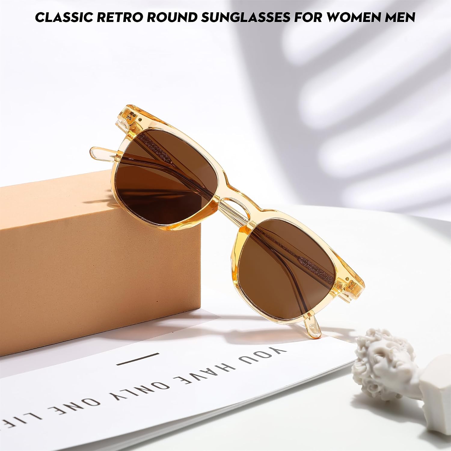 商品图片 40 | B0CCPBD9GS | FEISEDY Classic Polarized Sunglasses Retro Round Sunglasses for Women Men Trendy Shades B0002