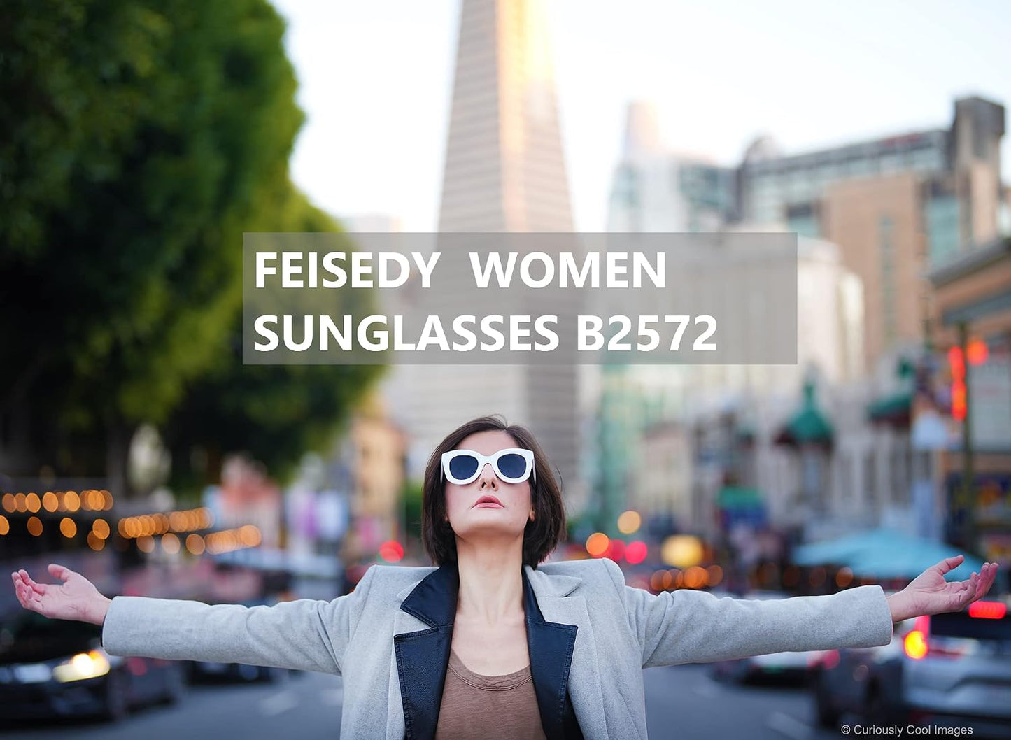 商品图片 35 | B083TZVTXV | FEISEDY Retro Oversized Square Horn Sunglasses Semi Cat Eye Butterfly Glass Big Thick Bold Frame B2572