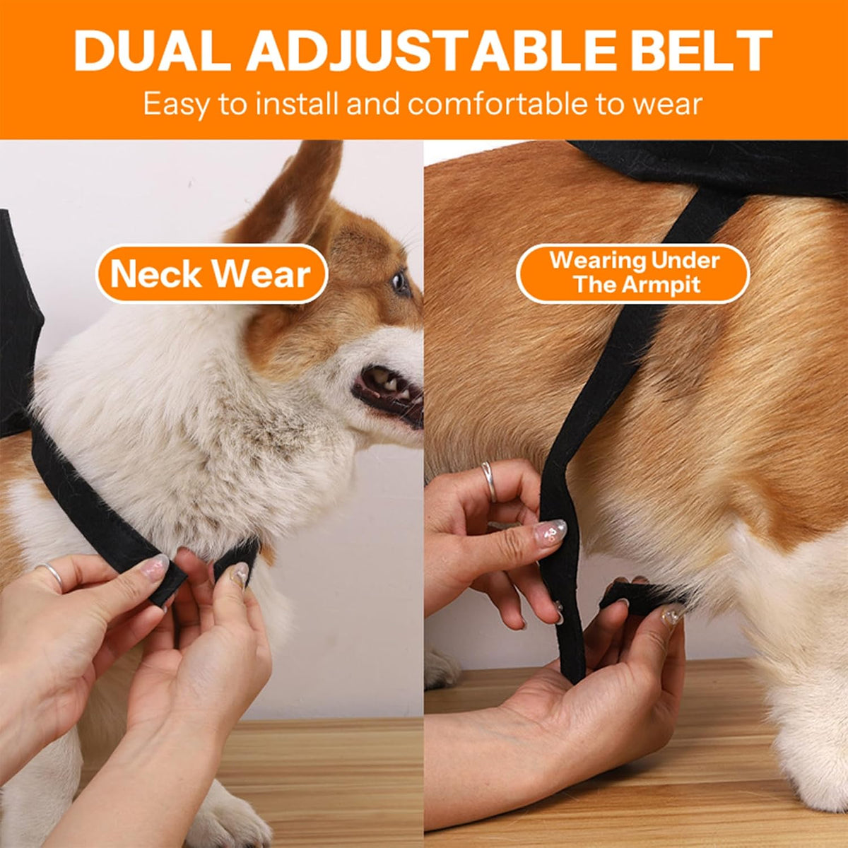 商品图片 4 | B0FVKH2CLW | Pet Bat Wings, Perfect for Cats Puppies Cute Cosplay Costume Accessories Dress-Up Fun for Pets Parties