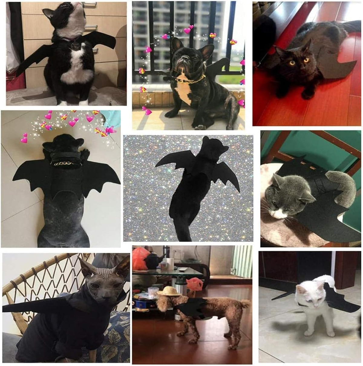 商品图片 5 | B0FVKH2CLW | Pet Bat Wings, Perfect for Cats Puppies Cute Cosplay Costume Accessories Dress-Up Fun for Pets Parties