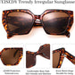 商品图片 20 | B0CNCTSQ2Z | FEISEDY Trendy Polarized Sunglasses, Oversized Irregular TR Frame for Women Men, Retro Shades UV400 B0016