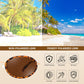 商品图片 16 | B0GX9GL5XF | FEISEDY Polarized Oval Metal Sunglasses for Women Men Classic Retro B0439